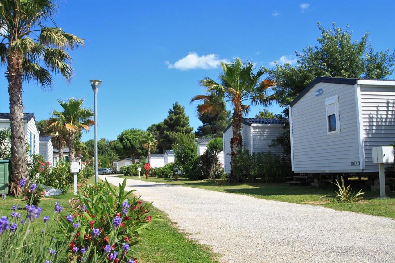 Camping Del Mar 10, Mobil Home Petit Paradis, 6 Personnes, Bord De Mer, Camping Del Mar Village Argelès-sur-Mer Εξωτερικό φωτογραφία