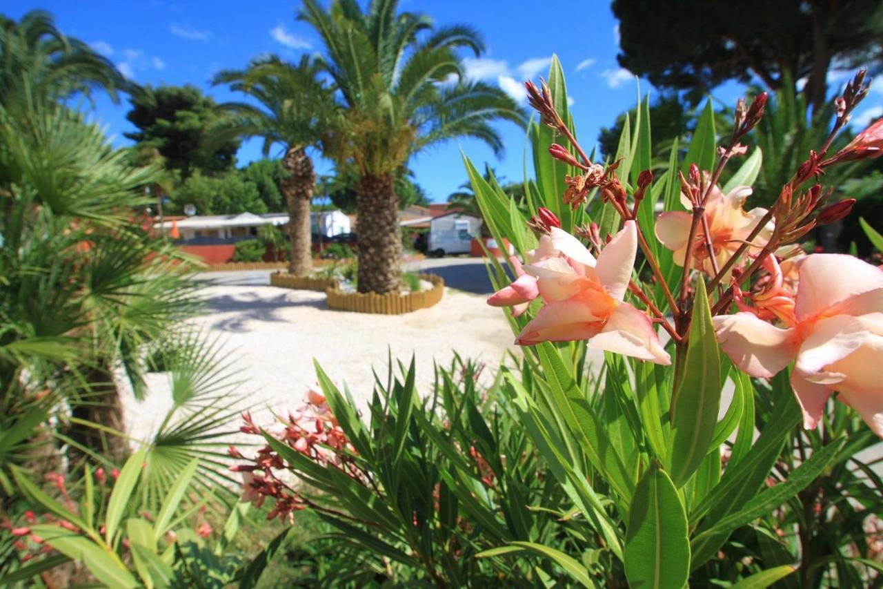 Camping Del Mar 10, Mobil Home Petit Paradis, 6 Personnes, Bord De Mer, Camping Del Mar Village Argelès-sur-Mer Εξωτερικό φωτογραφία