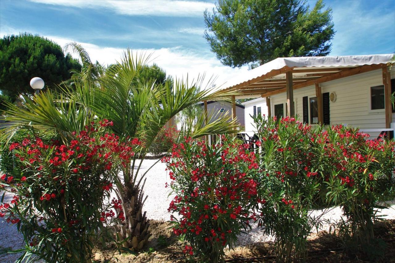 Camping Del Mar 10, Mobil Home Petit Paradis, 6 Personnes, Bord De Mer, Camping Del Mar Village Argelès-sur-Mer Εξωτερικό φωτογραφία
