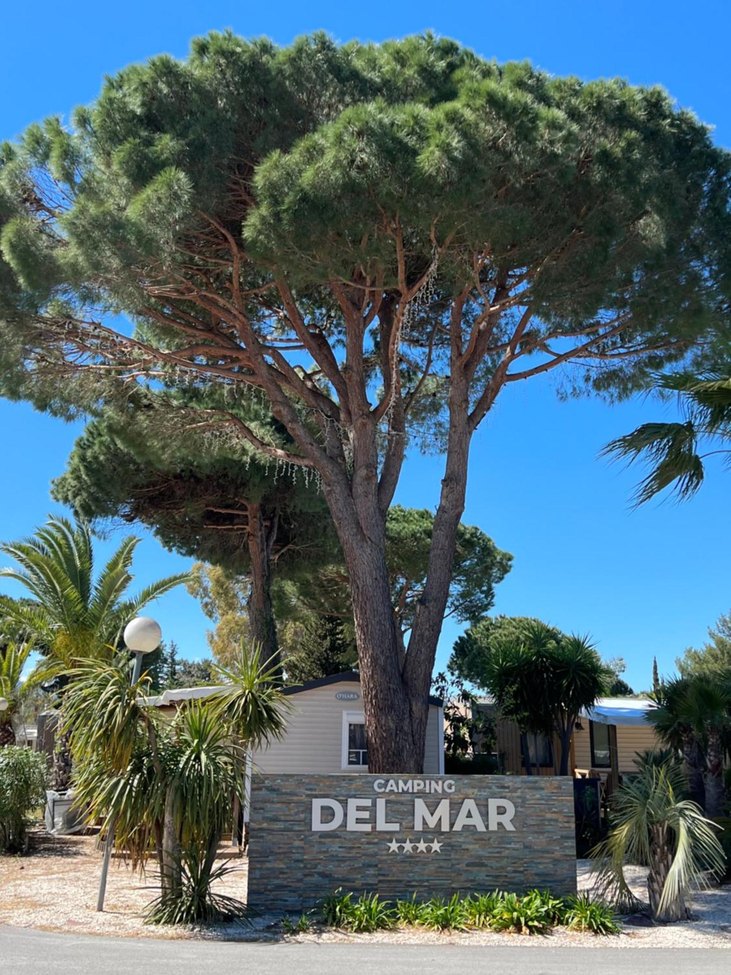 Camping Del Mar 10, Mobil Home Petit Paradis, 6 Personnes, Bord De Mer, Camping Del Mar Village Argelès-sur-Mer Εξωτερικό φωτογραφία
